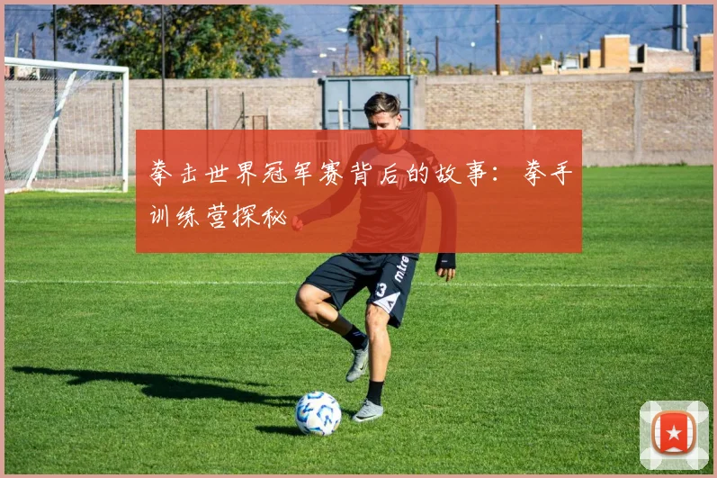 拳击世界冠军赛背后的故事：拳手训练营探秘