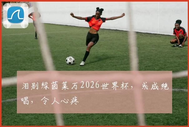 泪别绿茵莱万2026世界杯，或成绝唱，令人心疼